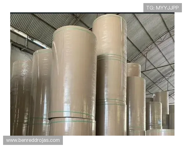 DB真人旗舰·集团未来创新方向：引领行业技术与服务新趋势